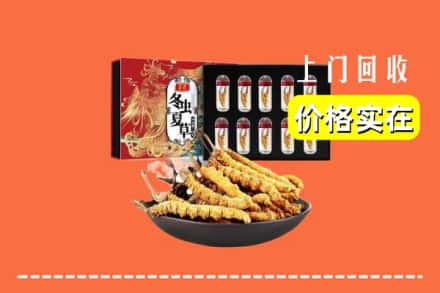 张家界市武陵源回收冬虫夏草